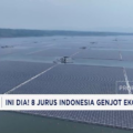 Video: Kuota Impor Kerbau Dipangkas